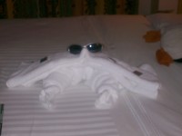 /album/photo-gallery/a1st-cruse-freedom-of-the-seas-037-jpg/